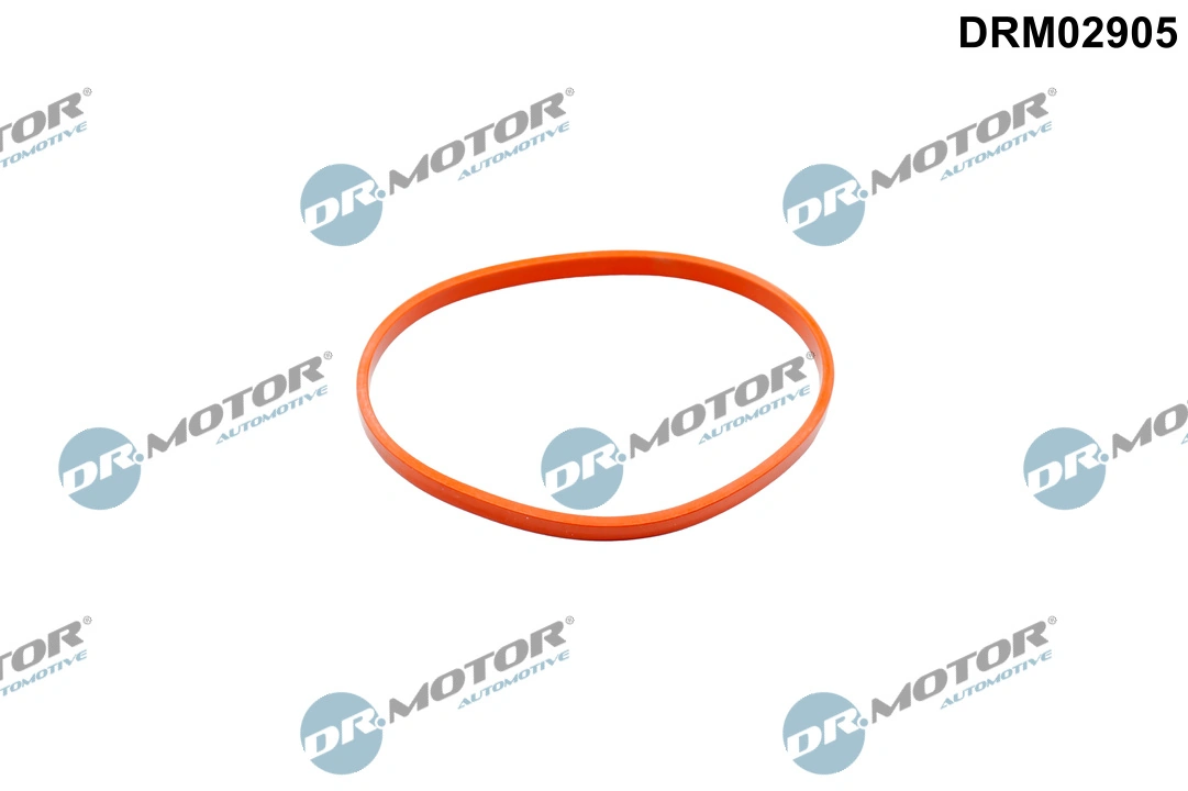 Gasket, throttle body
